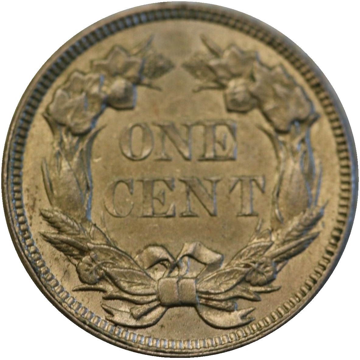 1857-1c-Flying-Eagle-Cent-#14